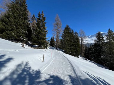 İsviçre Alplerindeki Valbella ve Lenzerheide (Kanton Graubuenden, Schweiz) tatil beldeleri bölgesinde yürüyüş, yürüyüş, yürüyüş, spor ve dinlenme için mükemmel bir şekilde düzenlenmiş ve temizlenmiş kış patikaları.)