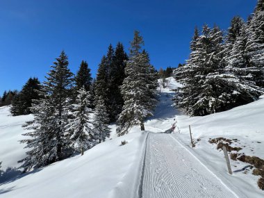İsviçre Alplerindeki Valbella ve Lenzerheide (Kanton Graubuenden, Schweiz) tatil beldeleri bölgesinde yürüyüş, yürüyüş, yürüyüş, spor ve dinlenme için mükemmel bir şekilde düzenlenmiş ve temizlenmiş kış patikaları.)