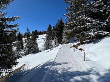 İsviçre Alplerindeki Valbella ve Lenzerheide (Kanton Graubuenden, Schweiz) tatil beldeleri bölgesinde yürüyüş, yürüyüş, yürüyüş, spor ve dinlenme için mükemmel bir şekilde düzenlenmiş ve temizlenmiş kış patikaları.)