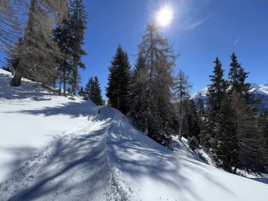 İsviçre Alplerindeki Valbella ve Lenzerheide (Kanton Graubuenden, Schweiz) tatil beldeleri bölgesinde yürüyüş, yürüyüş, yürüyüş, spor ve dinlenme için mükemmel bir şekilde düzenlenmiş ve temizlenmiş kış patikaları.)
