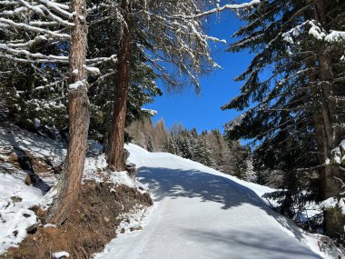 İsviçre Alplerindeki Valbella ve Lenzerheide (Kanton Graubuenden, Schweiz) tatil beldeleri bölgesinde yürüyüş, yürüyüş, yürüyüş, spor ve dinlenme için mükemmel bir şekilde düzenlenmiş ve temizlenmiş kış patikaları.)