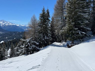 İsviçre Alplerindeki Valbella ve Lenzerheide (Kanton Graubuenden, Schweiz) tatil beldeleri bölgesinde yürüyüş, yürüyüş, yürüyüş, spor ve dinlenme için mükemmel bir şekilde düzenlenmiş ve temizlenmiş kış patikaları.)