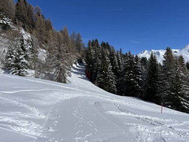 İsviçre Alplerindeki Valbella ve Lenzerheide (Kanton Graubuenden, Schweiz) tatil beldeleri bölgesinde yürüyüş, yürüyüş, yürüyüş, spor ve dinlenme için mükemmel bir şekilde düzenlenmiş ve temizlenmiş kış patikaları.)