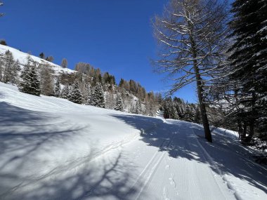 İsviçre Alplerindeki Valbella ve Lenzerheide (Kanton Graubuenden, Schweiz) tatil beldeleri bölgesinde yürüyüş, yürüyüş, yürüyüş, spor ve dinlenme için mükemmel bir şekilde düzenlenmiş ve temizlenmiş kış patikaları.)