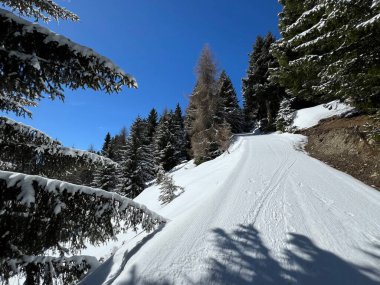 İsviçre Alplerindeki Valbella ve Lenzerheide (Kanton Graubuenden, Schweiz) tatil beldeleri bölgesinde yürüyüş, yürüyüş, yürüyüş, spor ve dinlenme için mükemmel bir şekilde düzenlenmiş ve temizlenmiş kış patikaları.)