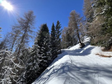 İsviçre Alplerindeki Valbella ve Lenzerheide (Kanton Graubuenden, Schweiz) tatil beldeleri bölgesinde yürüyüş, yürüyüş, yürüyüş, spor ve dinlenme için mükemmel bir şekilde düzenlenmiş ve temizlenmiş kış patikaları.)