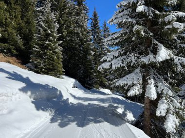 İsviçre Alplerindeki Valbella ve Lenzerheide (Kanton Graubuenden, Schweiz) tatil beldeleri bölgesinde yürüyüş, yürüyüş, yürüyüş, spor ve dinlenme için mükemmel bir şekilde düzenlenmiş ve temizlenmiş kış patikaları.)