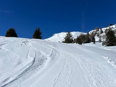 İsviçre Alplerindeki Valbella ve Lenzerheide (Kanton Graubuenden, Schweiz) tatil beldeleri bölgesinde yürüyüş, yürüyüş, yürüyüş, spor ve dinlenme için mükemmel bir şekilde düzenlenmiş ve temizlenmiş kış patikaları.)