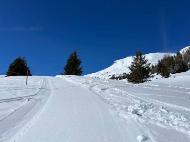 İsviçre Alplerindeki Valbella ve Lenzerheide (Kanton Graubuenden, Schweiz) tatil beldeleri bölgesinde yürüyüş, yürüyüş, yürüyüş, spor ve dinlenme için mükemmel bir şekilde düzenlenmiş ve temizlenmiş kış patikaları.)