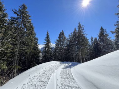 İsviçre Alplerindeki Valbella ve Lenzerheide (Kanton Graubuenden, Schweiz) tatil beldeleri bölgesinde yürüyüş, yürüyüş, yürüyüş, spor ve dinlenme için mükemmel bir şekilde düzenlenmiş ve temizlenmiş kış patikaları.)