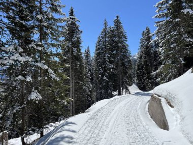 İsviçre Alplerindeki Valbella ve Lenzerheide (Kanton Graubuenden, Schweiz) tatil beldeleri bölgesinde yürüyüş, yürüyüş, yürüyüş, spor ve dinlenme için mükemmel bir şekilde düzenlenmiş ve temizlenmiş kış patikaları.)
