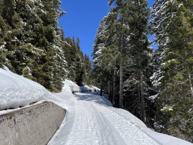 İsviçre Alplerindeki Valbella ve Lenzerheide (Kanton Graubuenden, Schweiz) tatil beldeleri bölgesinde yürüyüş, yürüyüş, yürüyüş, spor ve dinlenme için mükemmel bir şekilde düzenlenmiş ve temizlenmiş kış patikaları.)