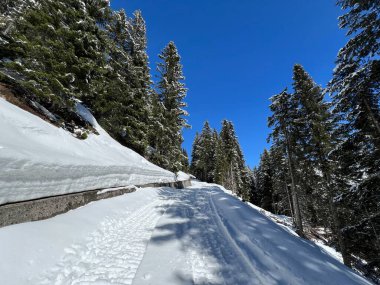 İsviçre Alplerindeki Valbella ve Lenzerheide (Kanton Graubuenden, Schweiz) tatil beldeleri bölgesinde yürüyüş, yürüyüş, yürüyüş, spor ve dinlenme için mükemmel bir şekilde düzenlenmiş ve temizlenmiş kış patikaları.)