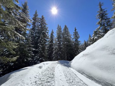 İsviçre Alplerindeki Valbella ve Lenzerheide (Kanton Graubuenden, Schweiz) tatil beldeleri bölgesinde yürüyüş, yürüyüş, yürüyüş, spor ve dinlenme için mükemmel bir şekilde düzenlenmiş ve temizlenmiş kış patikaları.)