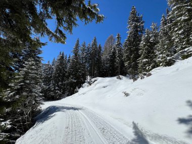 İsviçre Alplerindeki Valbella ve Lenzerheide (Kanton Graubuenden, Schweiz) tatil beldeleri bölgesinde yürüyüş, yürüyüş, yürüyüş, spor ve dinlenme için mükemmel bir şekilde düzenlenmiş ve temizlenmiş kış patikaları.)