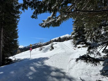 İsviçre Alplerindeki Valbella ve Lenzerheide (Kanton Graubuenden, Schweiz) tatil beldeleri bölgesinde yürüyüş, yürüyüş, yürüyüş, spor ve dinlenme için mükemmel bir şekilde düzenlenmiş ve temizlenmiş kış patikaları.)