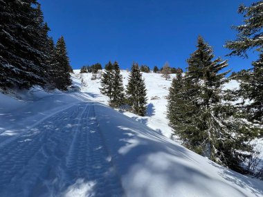 İsviçre Alpleri 'ndeki Valbella ve Lenzerheide tatil beldelerinin üzerindeki kar yağışı sonrası harika kış yürüyüş yolları ve izler İsviçre' nin Grison Kantonu (Kanton Graubuenden, Schweiz)