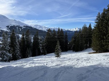 İsviçre Alpleri 'ndeki Valbella ve Lenzerheide tatil beldelerinin üzerindeki kar yağışı sonrası harika kış yürüyüş yolları ve izler İsviçre' nin Grison Kantonu (Kanton Graubuenden, Schweiz)