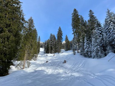 İsviçre Alpleri 'ndeki Valbella ve Lenzerheide tatil beldelerinin üzerindeki kar yağışı sonrası harika kış yürüyüş yolları ve izler İsviçre' nin Grison Kantonu (Kanton Graubuenden, Schweiz)