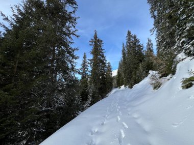 İsviçre Alpleri 'ndeki Valbella ve Lenzerheide tatil beldelerinin üzerindeki kar yağışı sonrası harika kış yürüyüş yolları ve izler İsviçre' nin Grison Kantonu (Kanton Graubuenden, Schweiz)