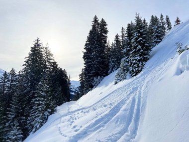 İsviçre Alpleri 'ndeki Valbella ve Lenzerheide tatil beldelerinin üzerindeki kar yağışı sonrası harika kış yürüyüş yolları ve izler İsviçre' nin Grison Kantonu (Kanton Graubuenden, Schweiz)
