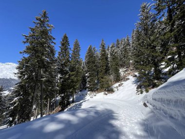 İsviçre Alpleri 'ndeki Valbella ve Lenzerheide tatil beldeleri bölgesinde yürüyüş, yürüyüş, yürüyüş, spor ve dinlenme için mükemmel bir şekilde düzenlenmiş ve temizlenmiş kış patikaları - İsviçre Grison Kantonu, İsviçre (Kanton Graubuenden, Schweiz)
