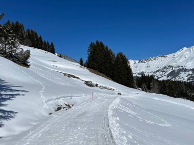 İsviçre Alpleri 'ndeki Valbella ve Lenzerheide tatil beldeleri bölgesinde yürüyüş, yürüyüş, yürüyüş, spor ve dinlenme için mükemmel bir şekilde düzenlenmiş ve temizlenmiş kış patikaları - İsviçre Grison Kantonu, İsviçre (Kanton Graubuenden, Schweiz)