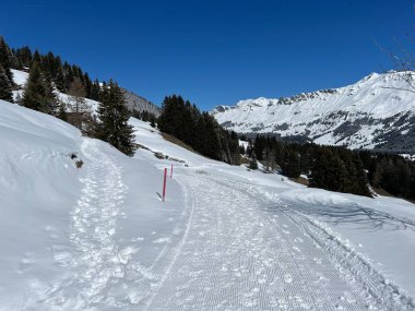 İsviçre Alpleri 'ndeki Valbella ve Lenzerheide tatil beldeleri bölgesinde yürüyüş, yürüyüş, yürüyüş, spor ve dinlenme için mükemmel bir şekilde düzenlenmiş ve temizlenmiş kış patikaları - İsviçre Grison Kantonu, İsviçre (Kanton Graubuenden, Schweiz)