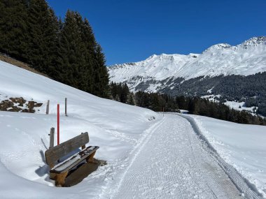 İsviçre Alpleri 'ndeki Valbella ve Lenzerheide tatil beldeleri bölgesinde yürüyüş, yürüyüş, yürüyüş, spor ve dinlenme için mükemmel bir şekilde düzenlenmiş ve temizlenmiş kış patikaları - İsviçre Grison Kantonu, İsviçre (Kanton Graubuenden, Schweiz)