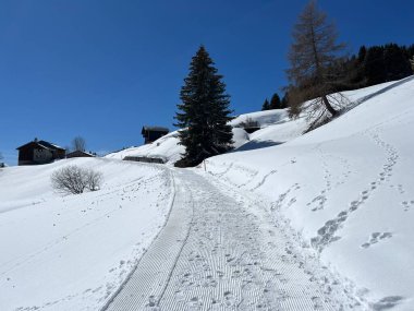 İsviçre Alpleri 'ndeki Valbella ve Lenzerheide tatil beldeleri bölgesinde yürüyüş, yürüyüş, yürüyüş, spor ve dinlenme için mükemmel bir şekilde düzenlenmiş ve temizlenmiş kış patikaları - İsviçre Grison Kantonu, İsviçre (Kanton Graubuenden, Schweiz)