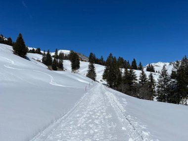 İsviçre Alpleri 'ndeki Valbella ve Lenzerheide tatil beldeleri bölgesinde yürüyüş, yürüyüş, yürüyüş, spor ve dinlenme için mükemmel bir şekilde düzenlenmiş ve temizlenmiş kış patikaları - İsviçre Grison Kantonu, İsviçre (Kanton Graubuenden, Schweiz)