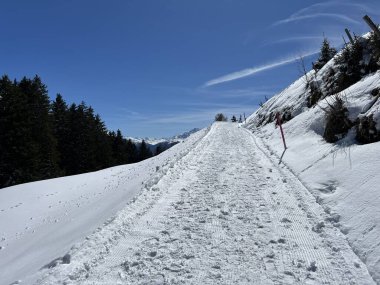İsviçre Alpleri 'ndeki Valbella ve Lenzerheide tatil beldeleri bölgesinde yürüyüş, yürüyüş, yürüyüş, spor ve dinlenme için mükemmel bir şekilde düzenlenmiş ve temizlenmiş kış patikaları - İsviçre Grison Kantonu, İsviçre (Kanton Graubuenden, Schweiz)