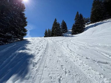 İsviçre Alpleri 'ndeki Valbella ve Lenzerheide tatil beldeleri bölgesinde yürüyüş, yürüyüş, yürüyüş, spor ve dinlenme için mükemmel bir şekilde düzenlenmiş ve temizlenmiş kış patikaları - İsviçre Grison Kantonu, İsviçre (Kanton Graubuenden, Schweiz)