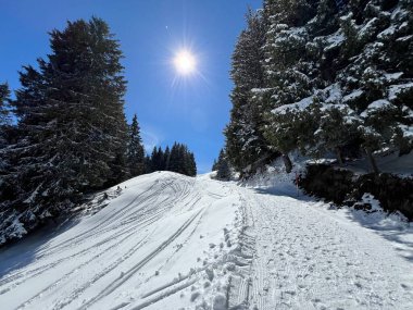 İsviçre Alpleri 'ndeki Valbella ve Lenzerheide tatil beldeleri bölgesinde yürüyüş, yürüyüş, yürüyüş, spor ve dinlenme için mükemmel bir şekilde düzenlenmiş ve temizlenmiş kış patikaları - İsviçre Grison Kantonu, İsviçre (Kanton Graubuenden, Schweiz)