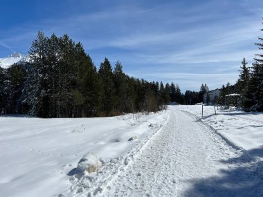 İsviçre Alpleri 'ndeki Valbella ve Lenzerheide tatil beldeleri bölgesinde yürüyüş, yürüyüş, yürüyüş, spor ve dinlenme için mükemmel bir şekilde düzenlenmiş ve temizlenmiş kış patikaları - İsviçre Grison Kantonu, İsviçre (Kanton Graubuenden, Schweiz)