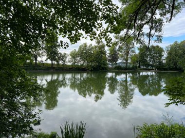 Drei Weieren (Üç Gölet) dinlenme alanı, St.Gallen, İsviçre - das Naherholungsgebiet Drei Weihern - St. Gallen, Schweiz