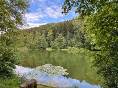 Drei Weieren (Üç Gölet) dinlenme alanı, St.Gallen, İsviçre - das Naherholungsgebiet Drei Weihern - St. Gallen, Schweiz