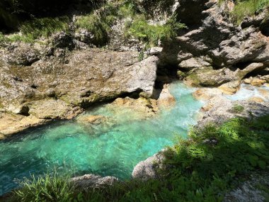 Tolmin Gorges (Triglav Ulusal Parkı, Slovenya) - Tolminer Klammen (Nationalpark Triglav, Slowenien) - Tolminska korita (Triglavski narodni parkı, Slovenya)