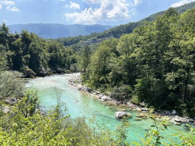 Yaz ve alçak su seviyesi (Kobard, Slovenya) - Fluss Soca mit umliegenden Waeldern im Sommer und bei niedrigem Wasserstand (Slowenien))