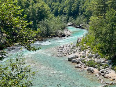 Yaz ve alçak su seviyesi (Kobard, Slovenya) - Fluss Soca mit umliegenden Waeldern im Sommer und bei niedrigem Wasserstand (Slowenien))