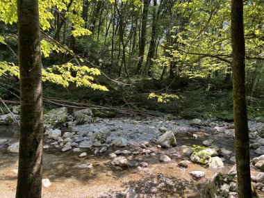 Soca Nehri (Kobarid, Slovenya) ile birleştiği yerin yukarısındaki Kozjak kanyonu - Die Schlucht des Baches Kozjak oberhalb seiner Muendung in den Fluss Soca (Slowenien))