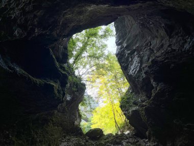 Karst mağarası Babja jama veya Babja jama Eski İnanç Tapınağı (Gorenji Kütüğü, Slovenya) - Urspruengliche von Babja Jama oder Heiligtum der Altglaeubigen von Babja Jama (Slowenien))
