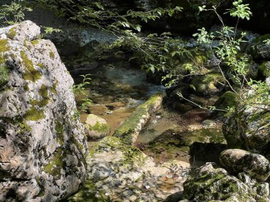 Virje şelalesinin üzerindeki Glijun nehri (Bovec, Slovenya) - Der Glijun-Bach oberhalb des Virje-Wasserfalls oder das Bett des Gljun-Bachs (Slowenien))