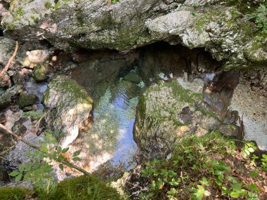 Virje şelalesinin üzerindeki Glijun nehri (Bovec, Slovenya) - Der Glijun-Bach oberhalb des Virje-Wasserfalls oder das Bett des Gljun-Bachs (Slowenien))