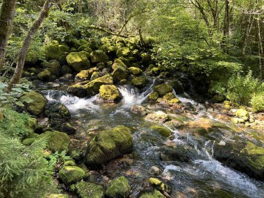 Kaynak Glijun veya Gljun (Bovec, Slovenya) - Die Quelle des Baches Glijun oder die Quelle Gljun (Bovec, Slowenien) - Izvir Glijuna veya Izvor Gljuna (Slovenija))