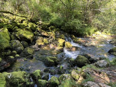 Kaynak Glijun veya Gljun (Bovec, Slovenya) - Die Quelle des Baches Glijun oder die Quelle Gljun (Bovec, Slowenien) - Izvir Glijuna veya Izvor Gljuna (Slovenija))