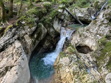 Lepenca deresi (Bovec, Slovenya) - Der Sunik-Wasserhain oder Wasserfaelle am Bach Lepenca (Slowenien) - Sunikov vodni gaj v Lepeni (Slovenija))