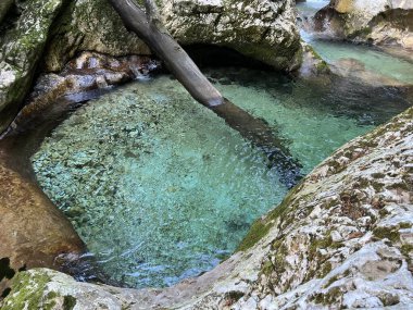 Lepenca deresi (Bovec, Slovenya) - Der Sunik-Wasserhain oder Wasserfaelle am Bach Lepenca (Slowenien) - Sunikov vodni gaj v Lepeni (Slovenija))