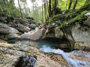 Lepenca deresi (Bovec, Slovenya) - Der Sunik-Wasserhain oder Wasserfaelle am Bach Lepenca (Slowenien) - Sunikov vodni gaj v Lepeni (Slovenija))