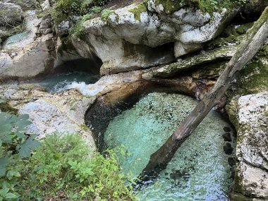 Lepenca deresi (Bovec, Slovenya) - Der Sunik-Wasserhain oder Wasserfaelle am Bach Lepenca (Slowenien) - Sunikov vodni gaj v Lepeni (Slovenija))